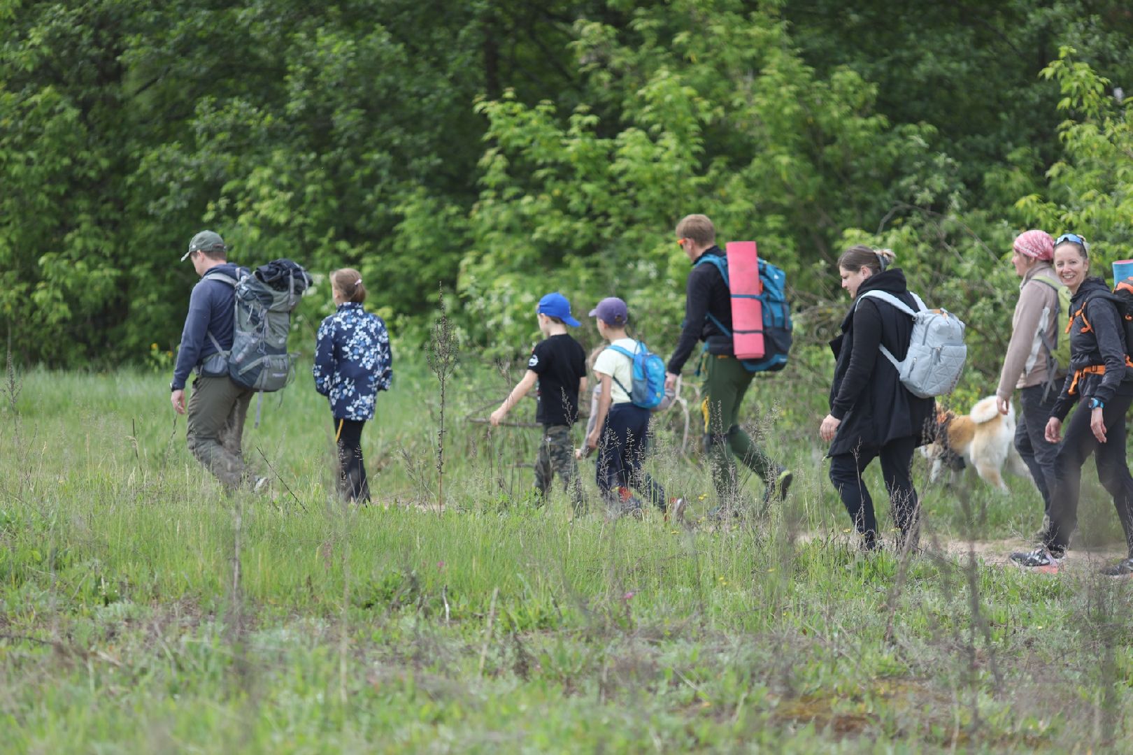 Домодедово, поход, спортивное ориентирование, поход