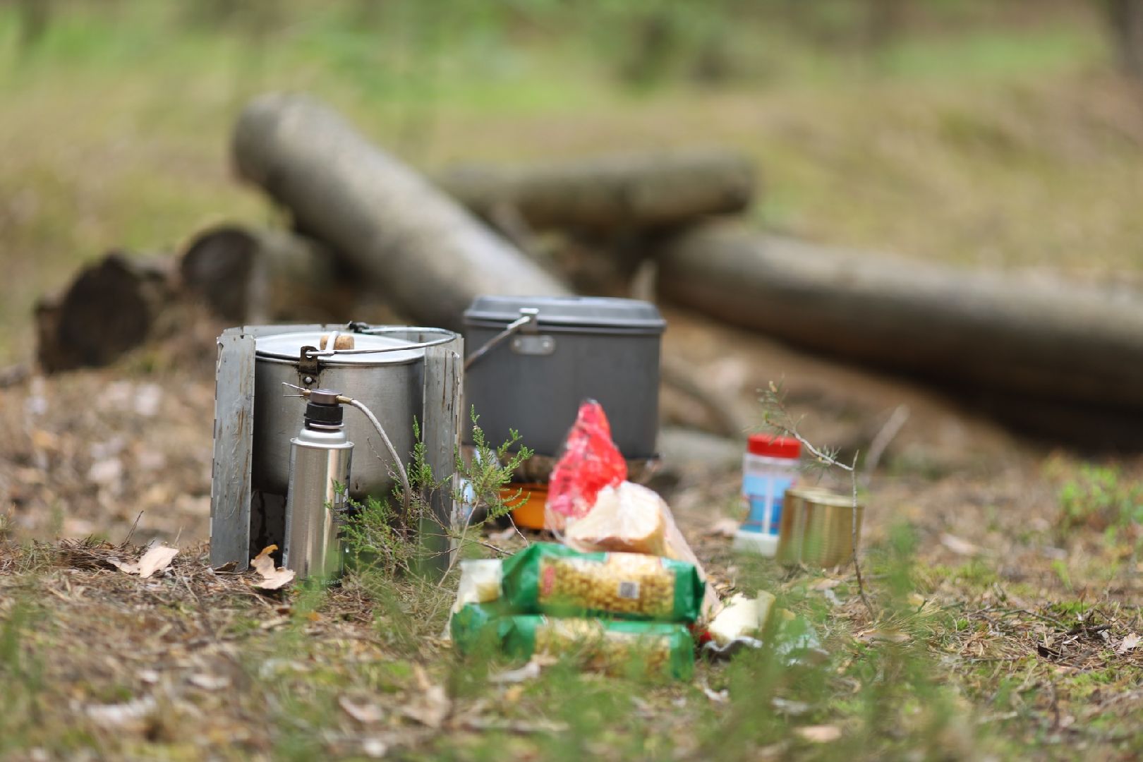 Домодедово, поход, спортивное ориентирование, поход