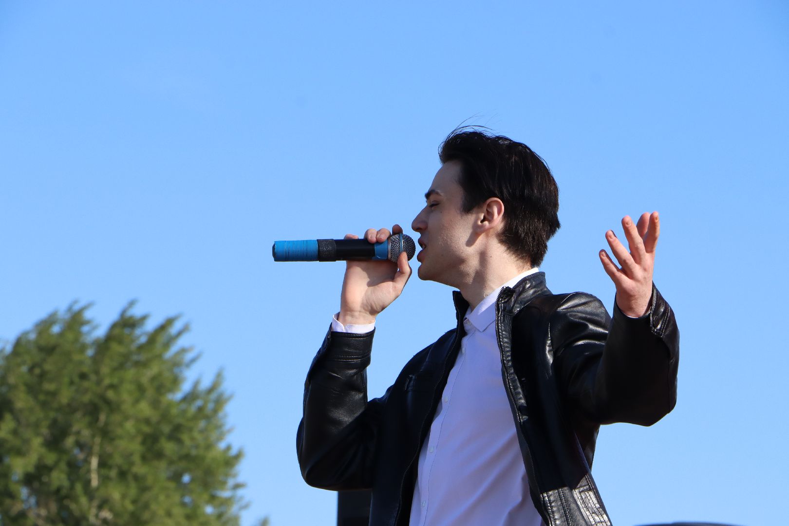 Серебряные Пруды, День России, парк Серебряный, Встанем, флешмоб