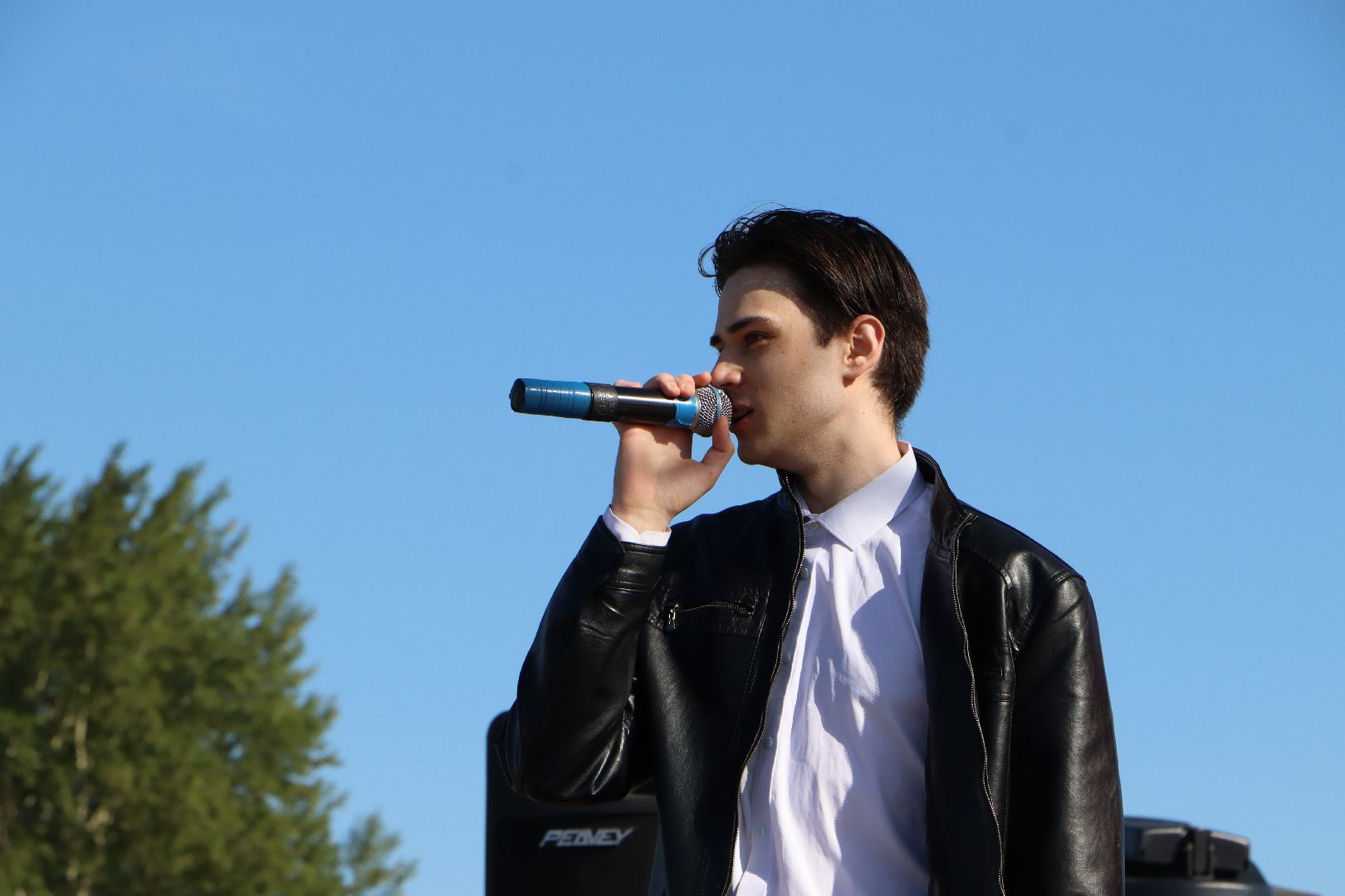 Серебряные Пруды, День России, парк Серебряный, Встанем, флешмоб