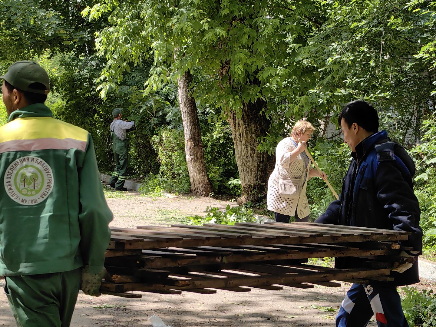 Кустарники, форма, благоустройство