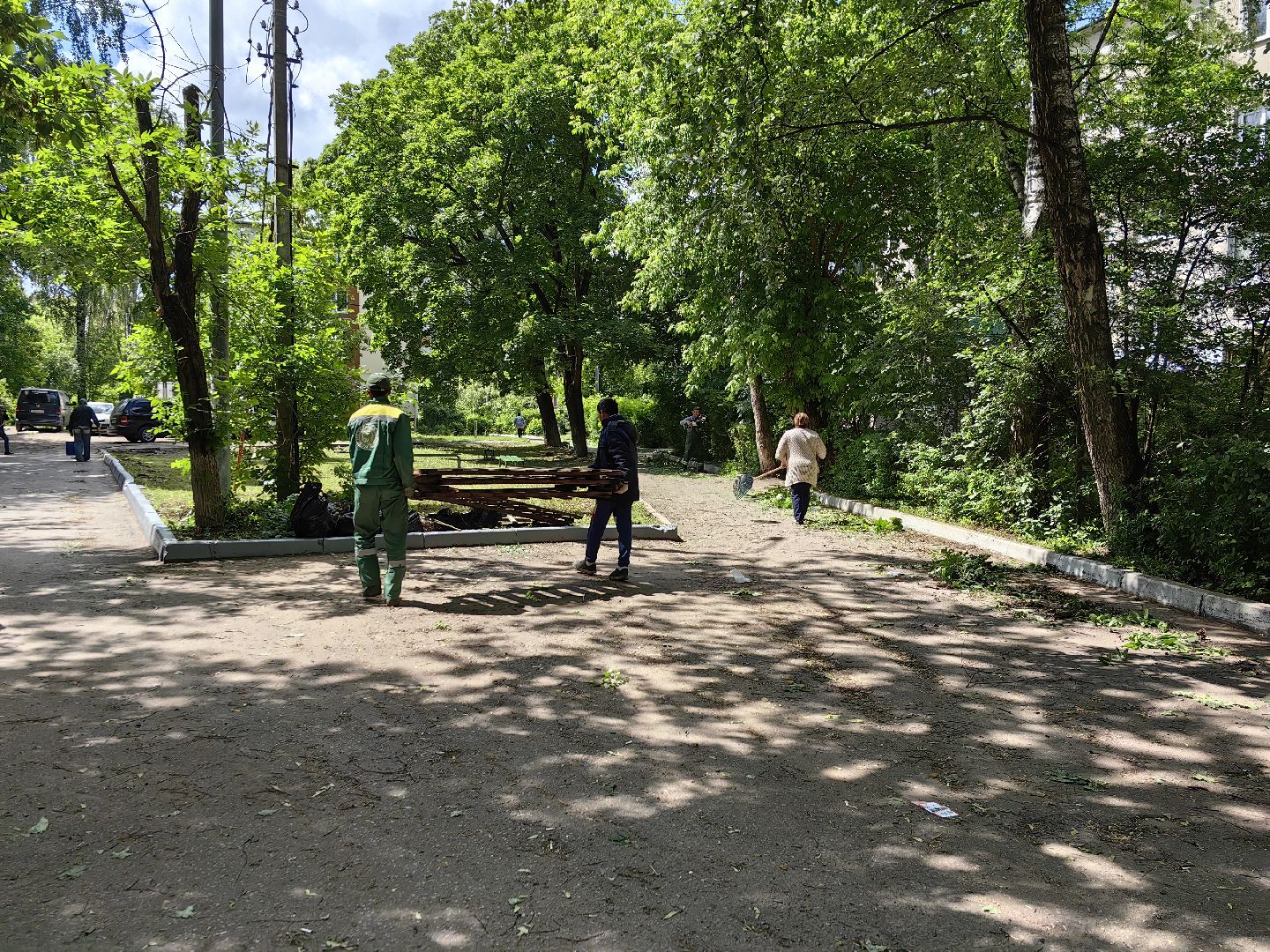 Кустарники, форма, благоустройство