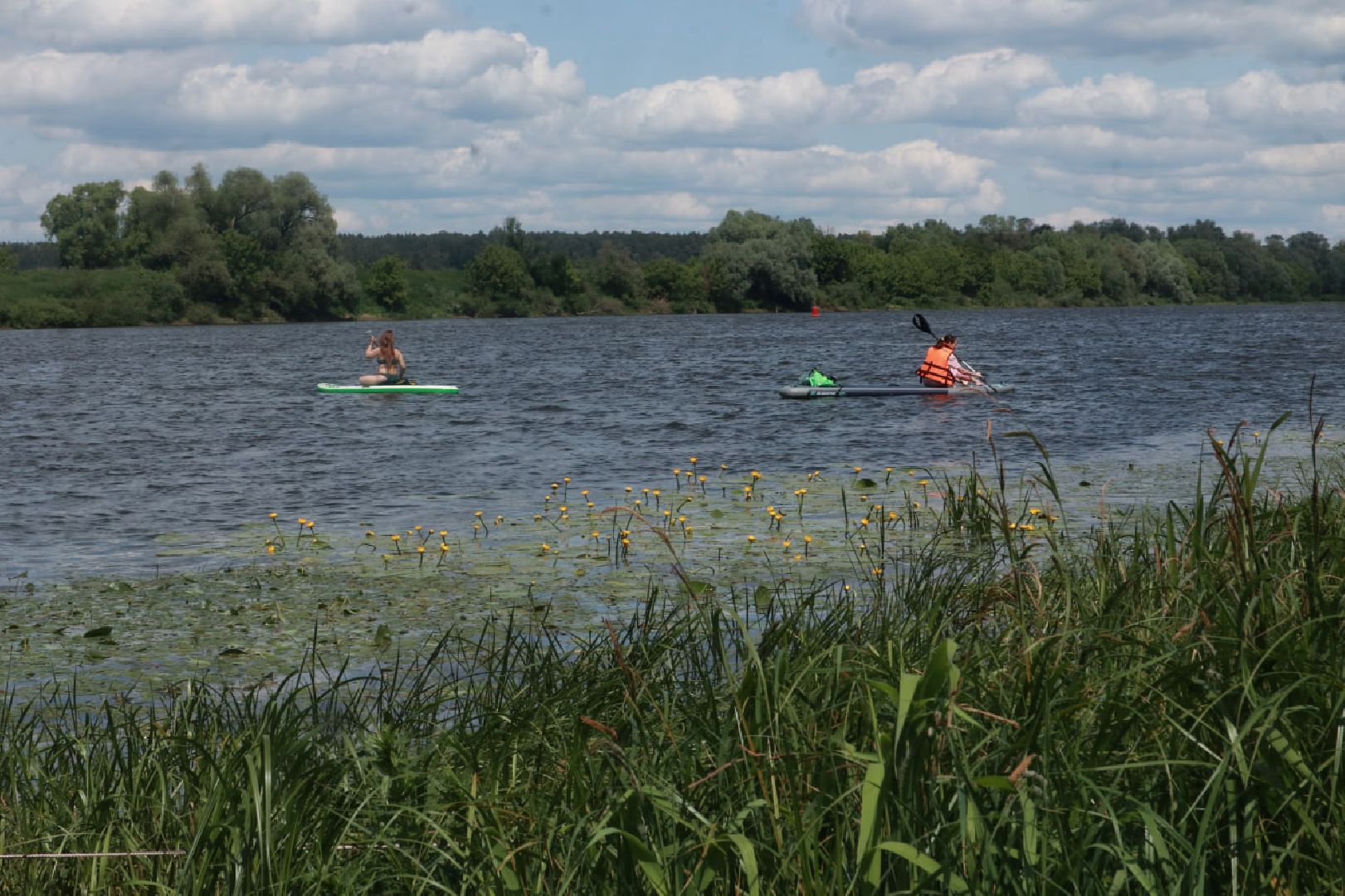 Пущино, волонтеры