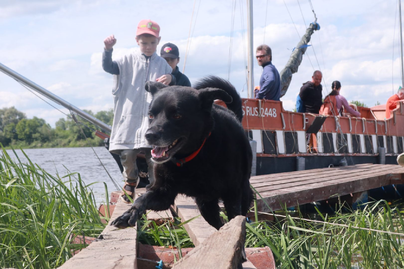 Пущино, волонтеры