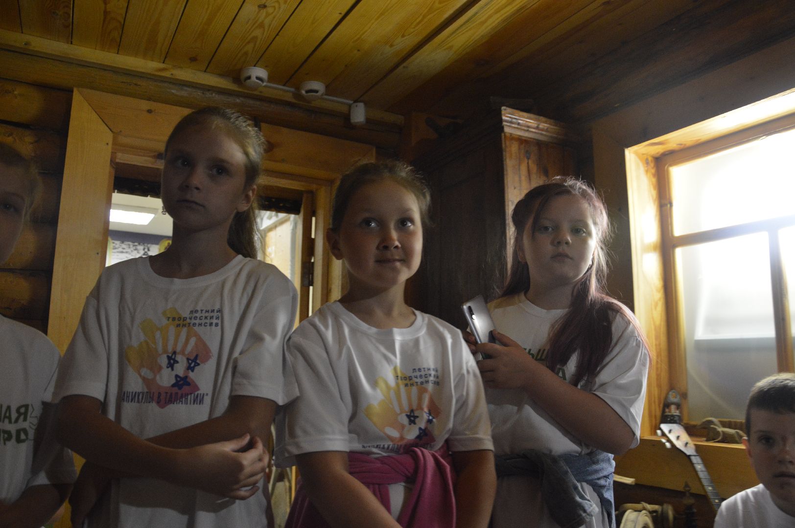 Шатура, дети, отдых, музей, Петровское