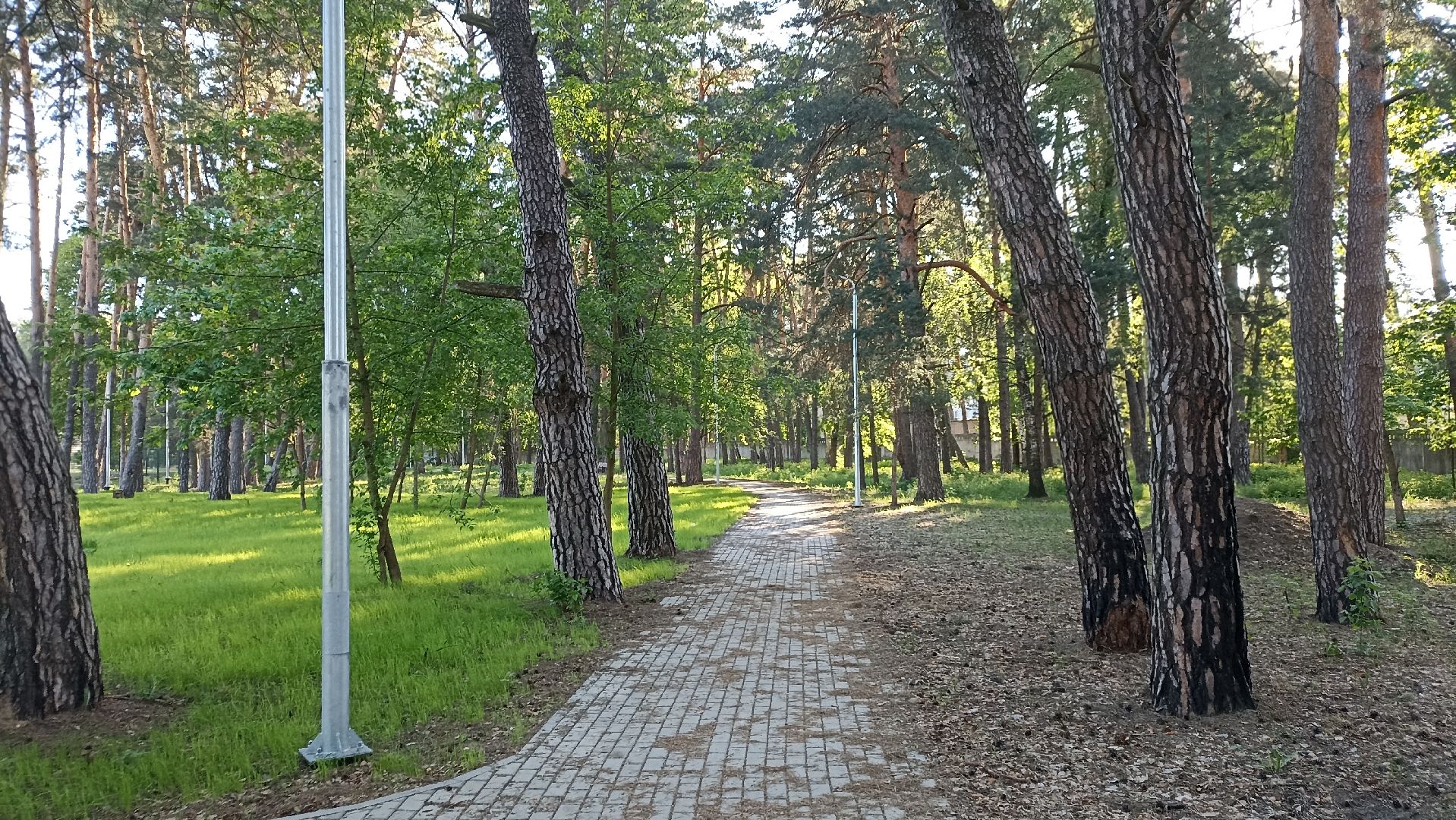 Серпухов, Подмосковье, стадион, бег, тренажеры, спорт, реконструкция