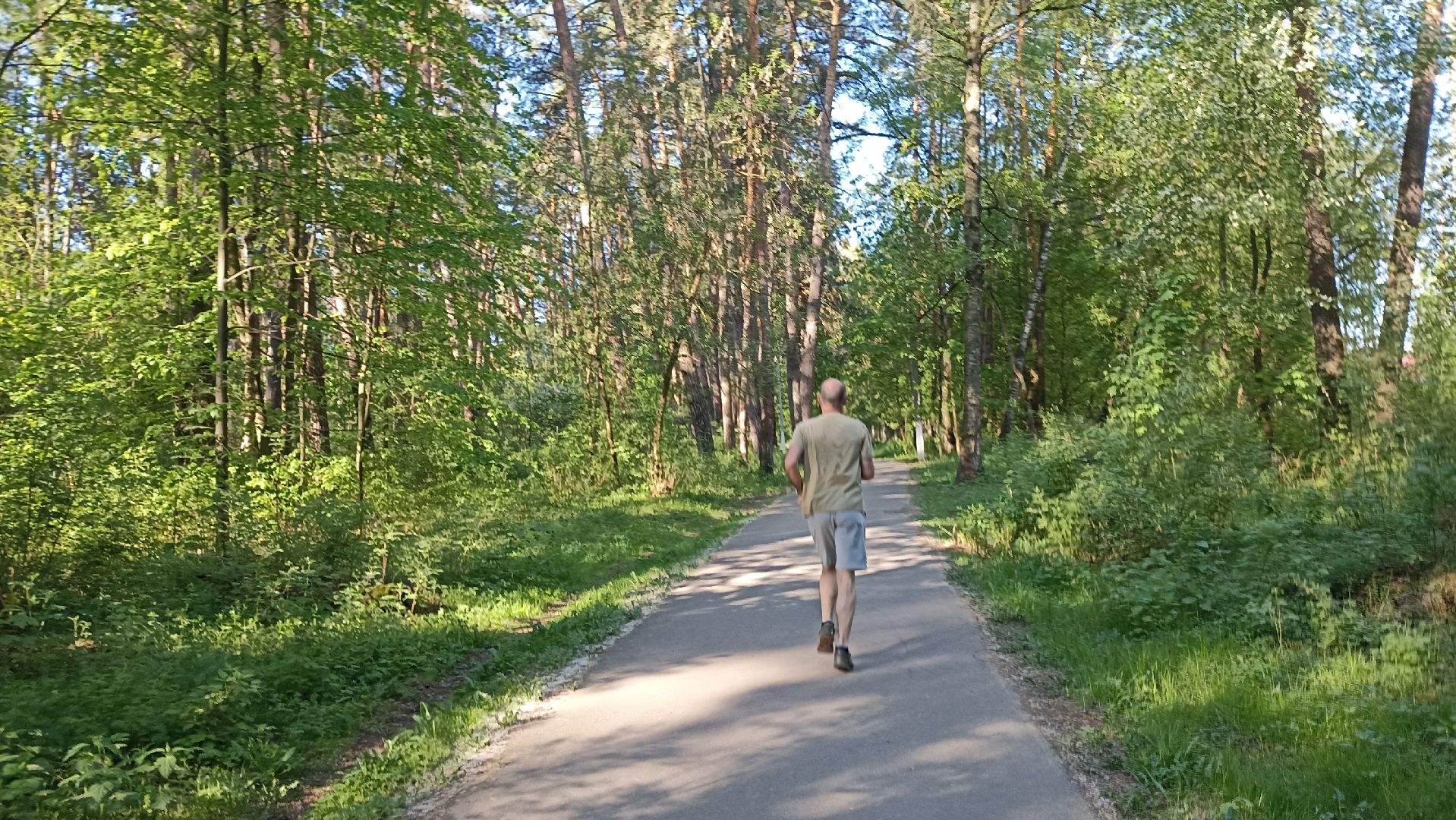 Серпухов, Подмосковье, стадион, бег, тренажеры, спорт, реконструкция