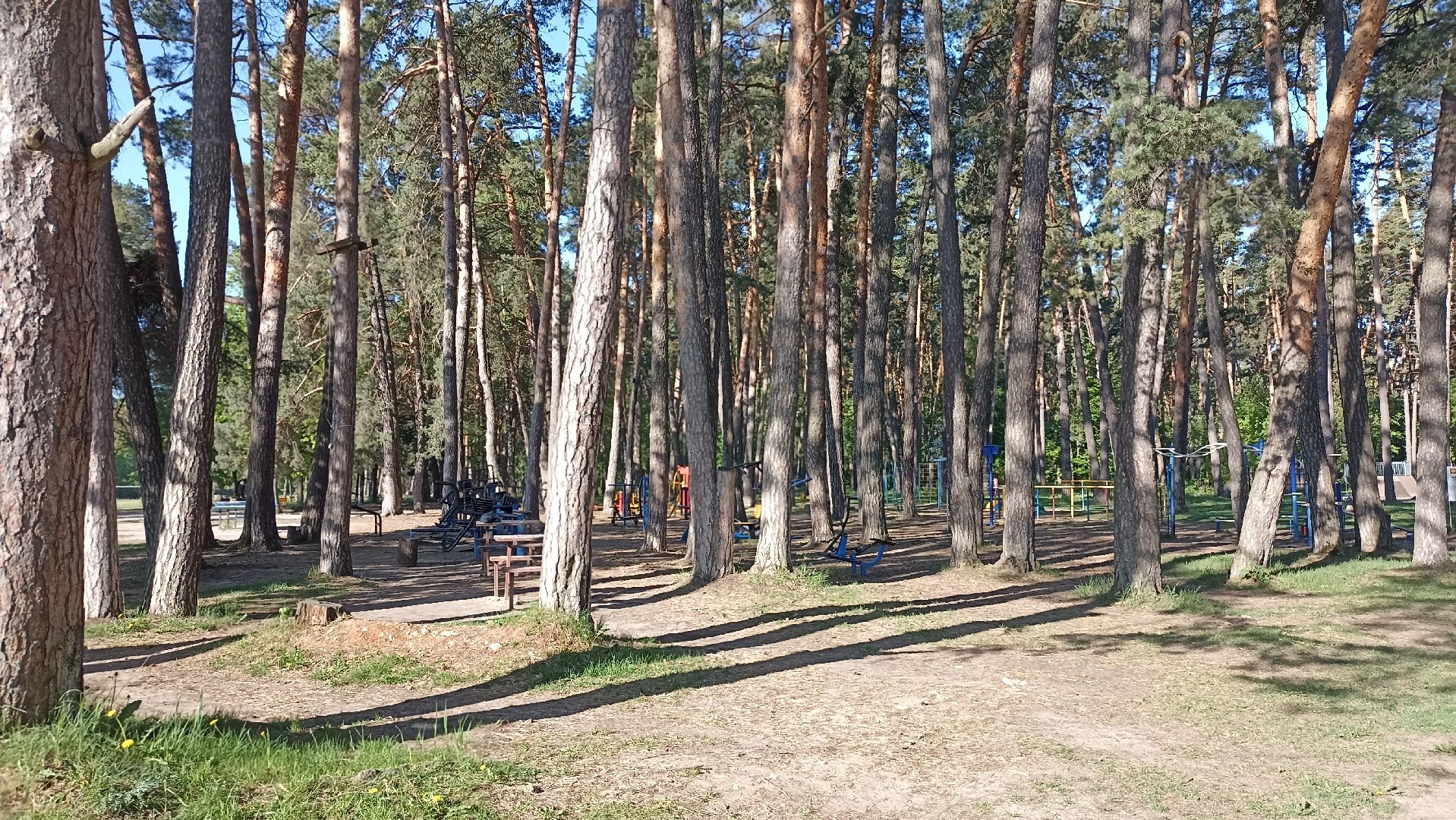 Серпухов, Подмосковье, стадион, бег, тренажеры, спорт, реконструкция