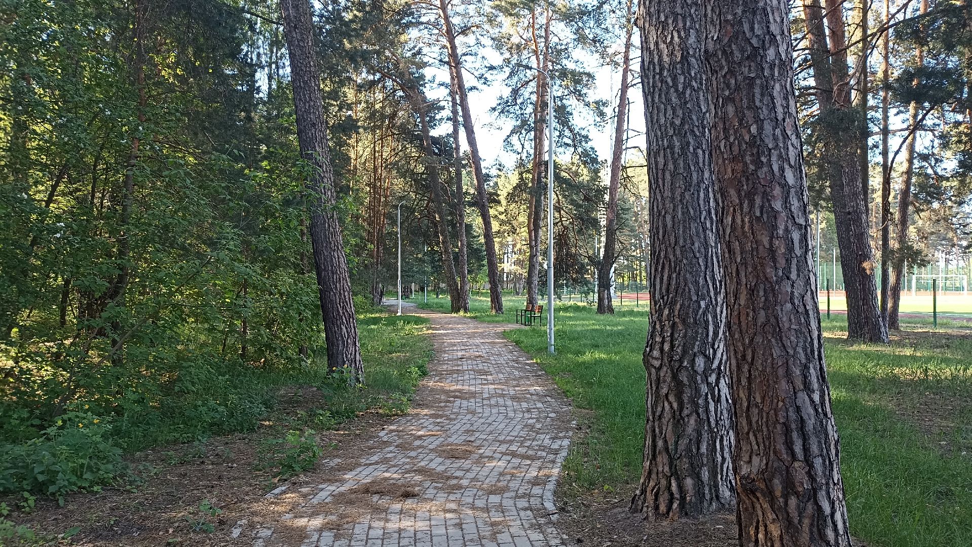 Серпухов, Подмосковье, стадион, бег, тренажеры, спорт, реконструкция