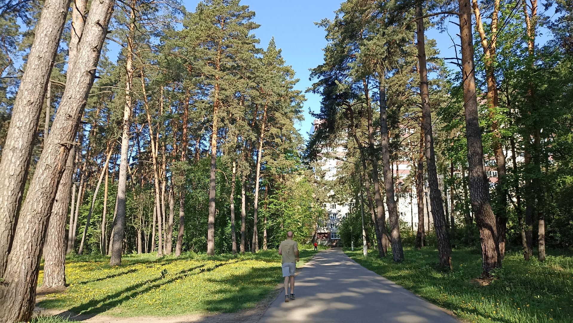 Серпухов, Подмосковье, стадион, бег, тренажеры, спорт, реконструкция