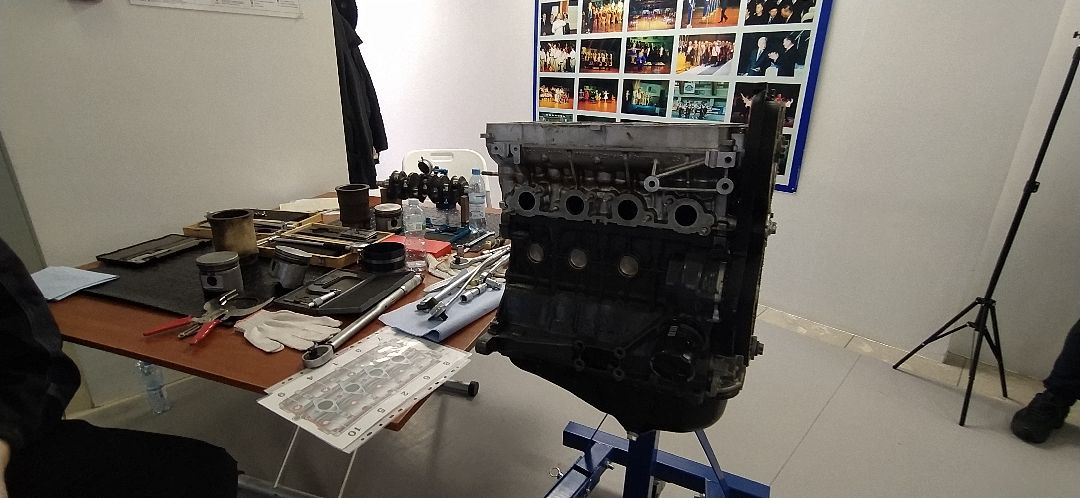 Щёлково, общество