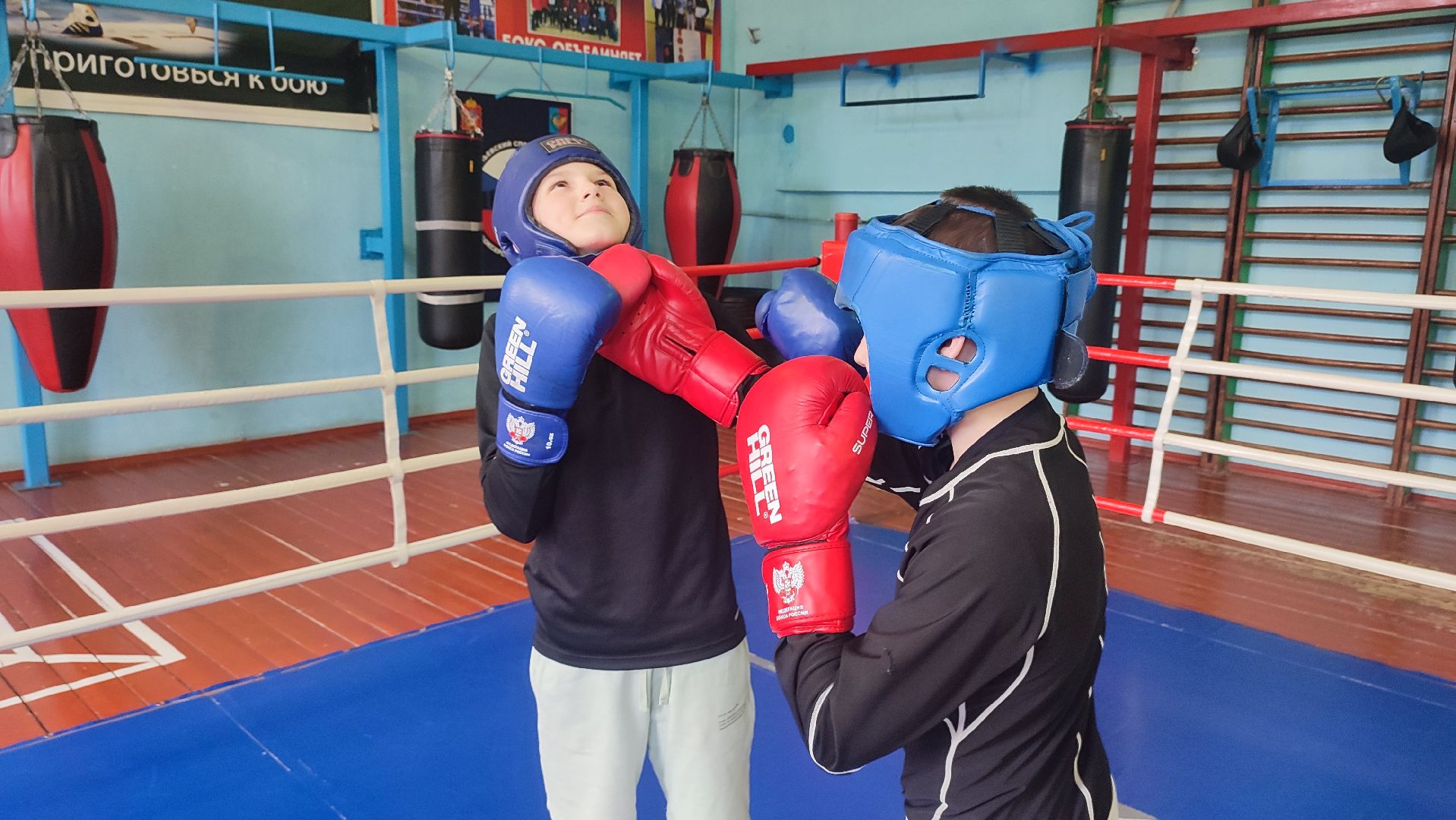 Кашира, Ожерелье, бокс, Русич, соревнования, первенство