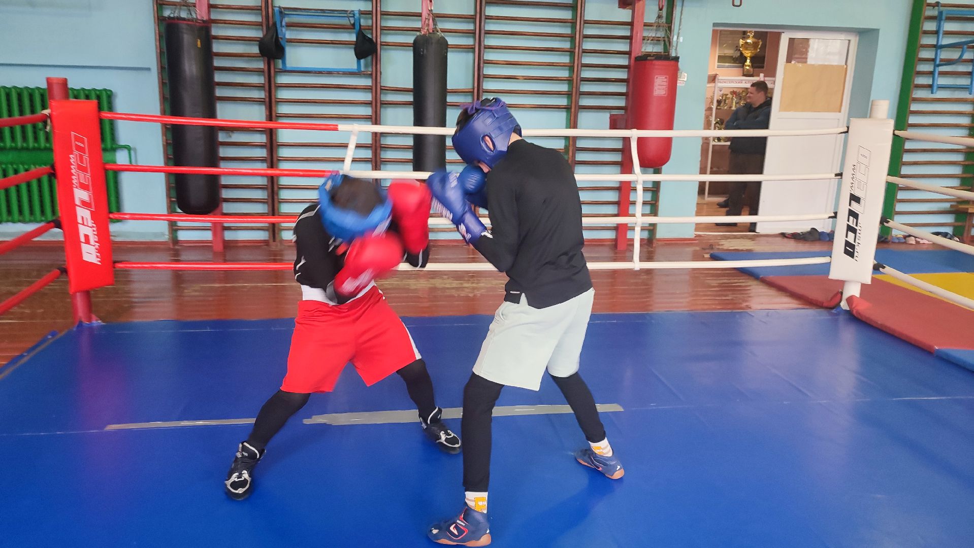 Кашира, Ожерелье, бокс, Русич, соревнования, первенство