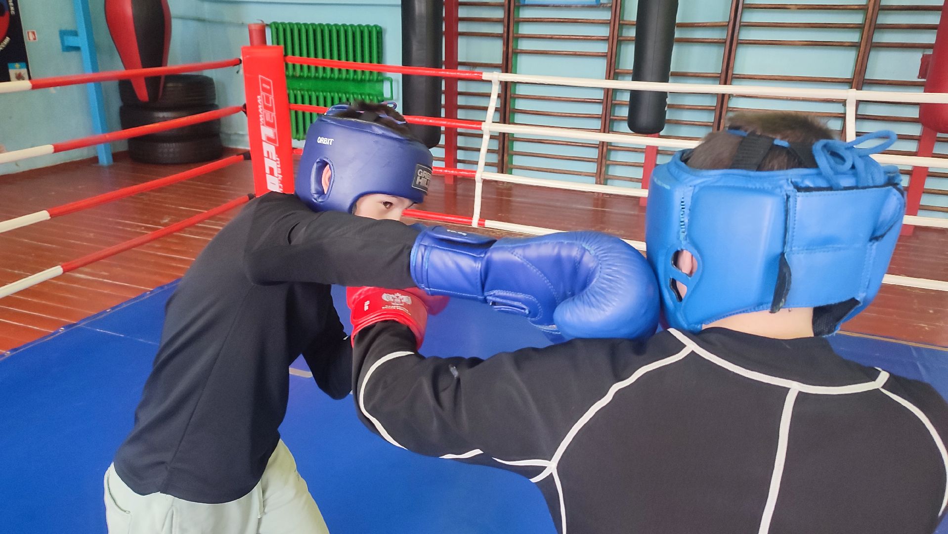 Кашира, Ожерелье, бокс, Русич, соревнования, первенство