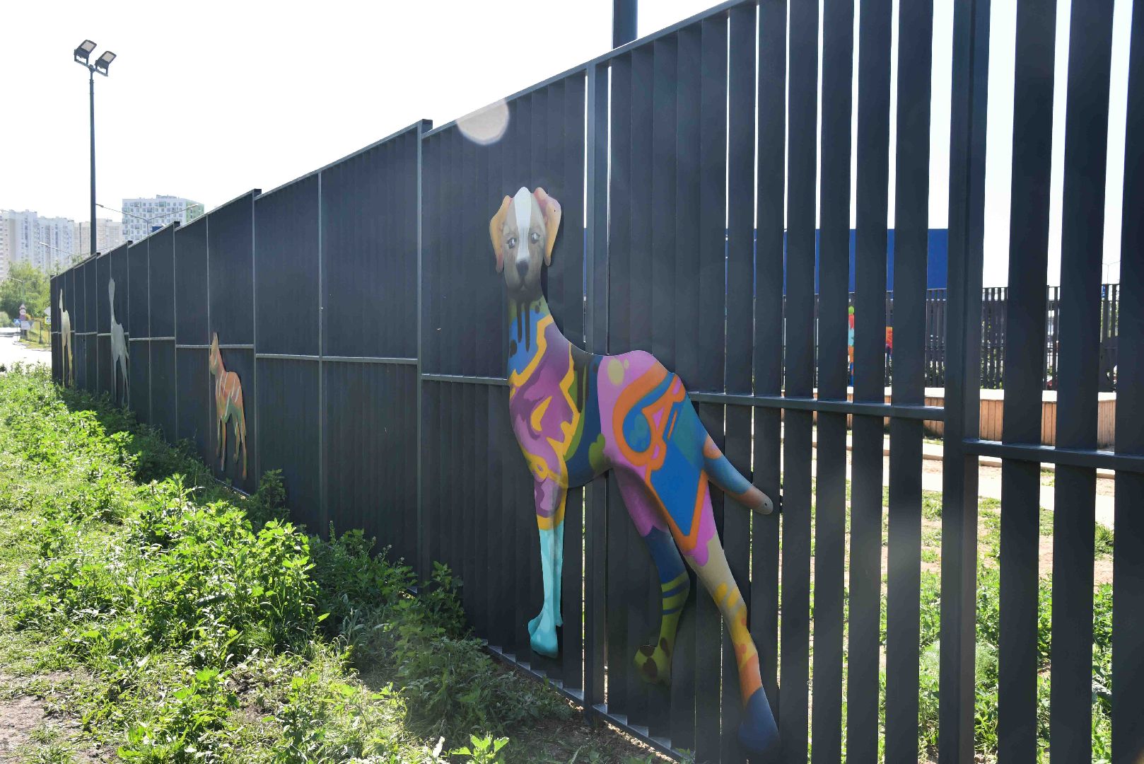 Химки, собаки, граффити