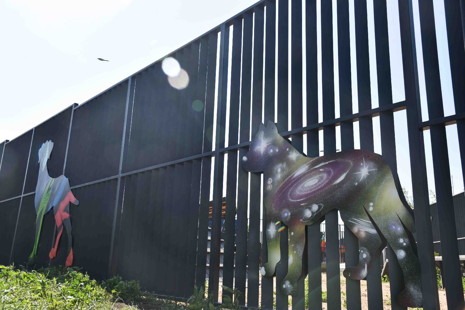 Химки, собаки, граффити