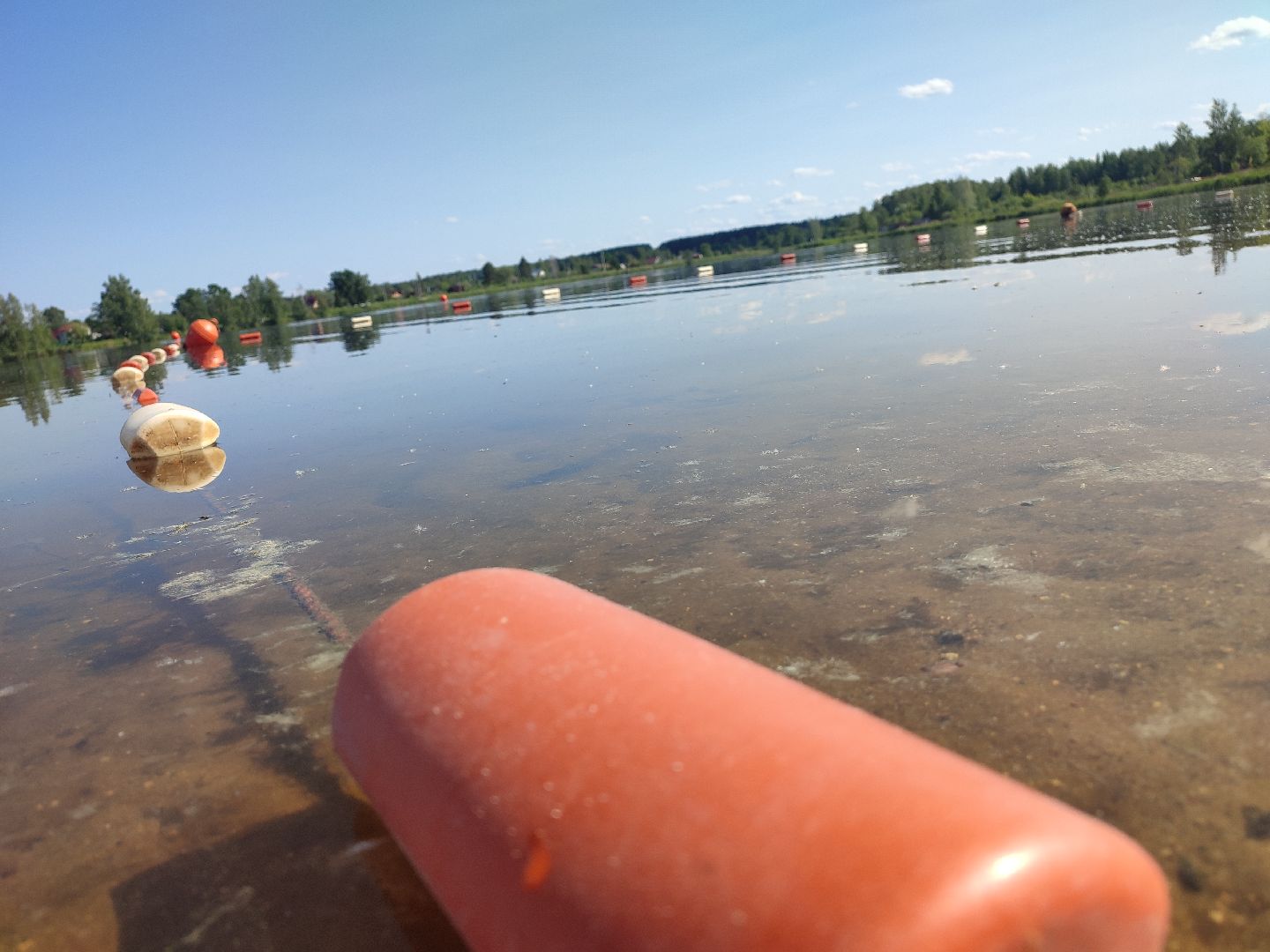 #запрудня, #пляж, #талдомскийокруг, #купальныйсезон, #солнечныйберег