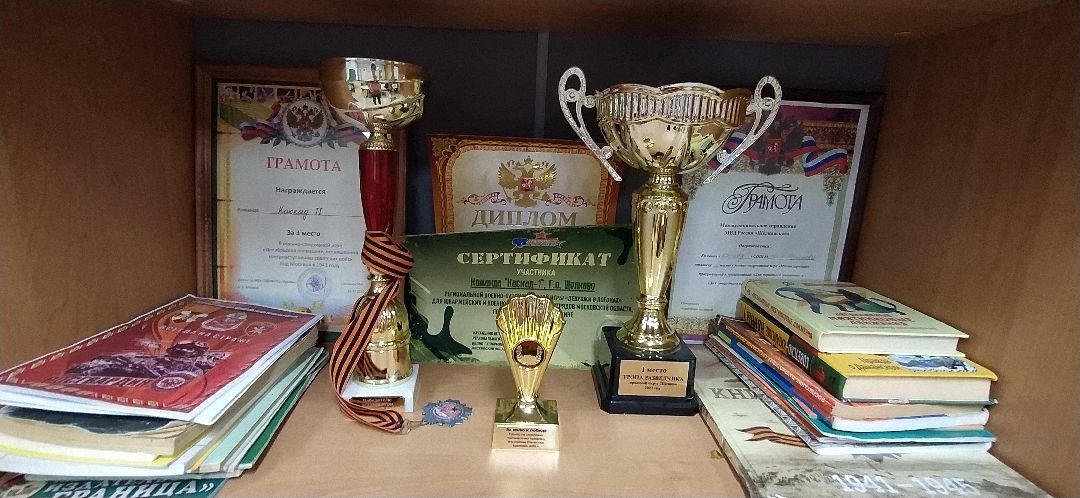 Щёлково, общество