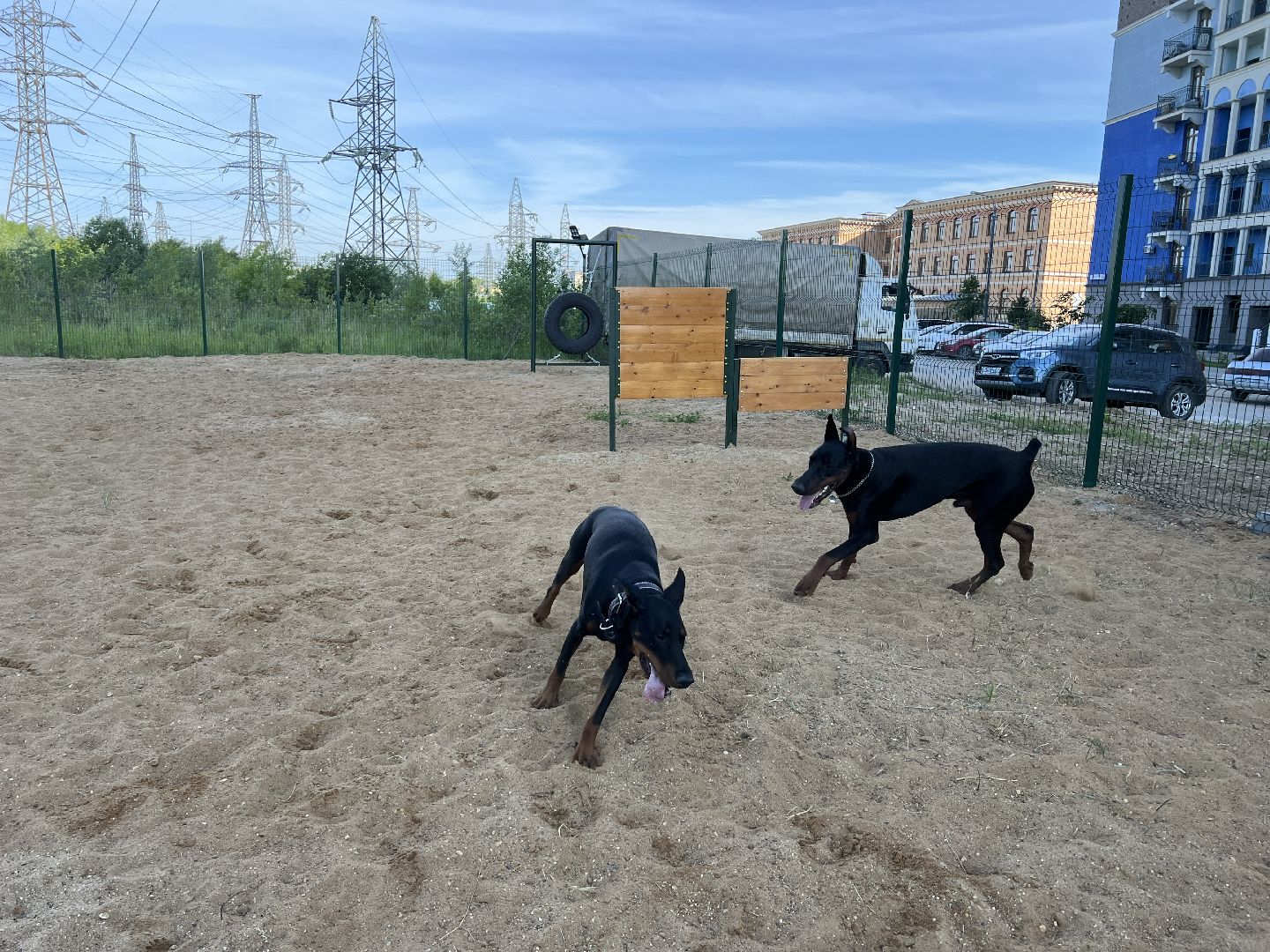 Химки, ЖК Солнечная система, благоустройство, собаки