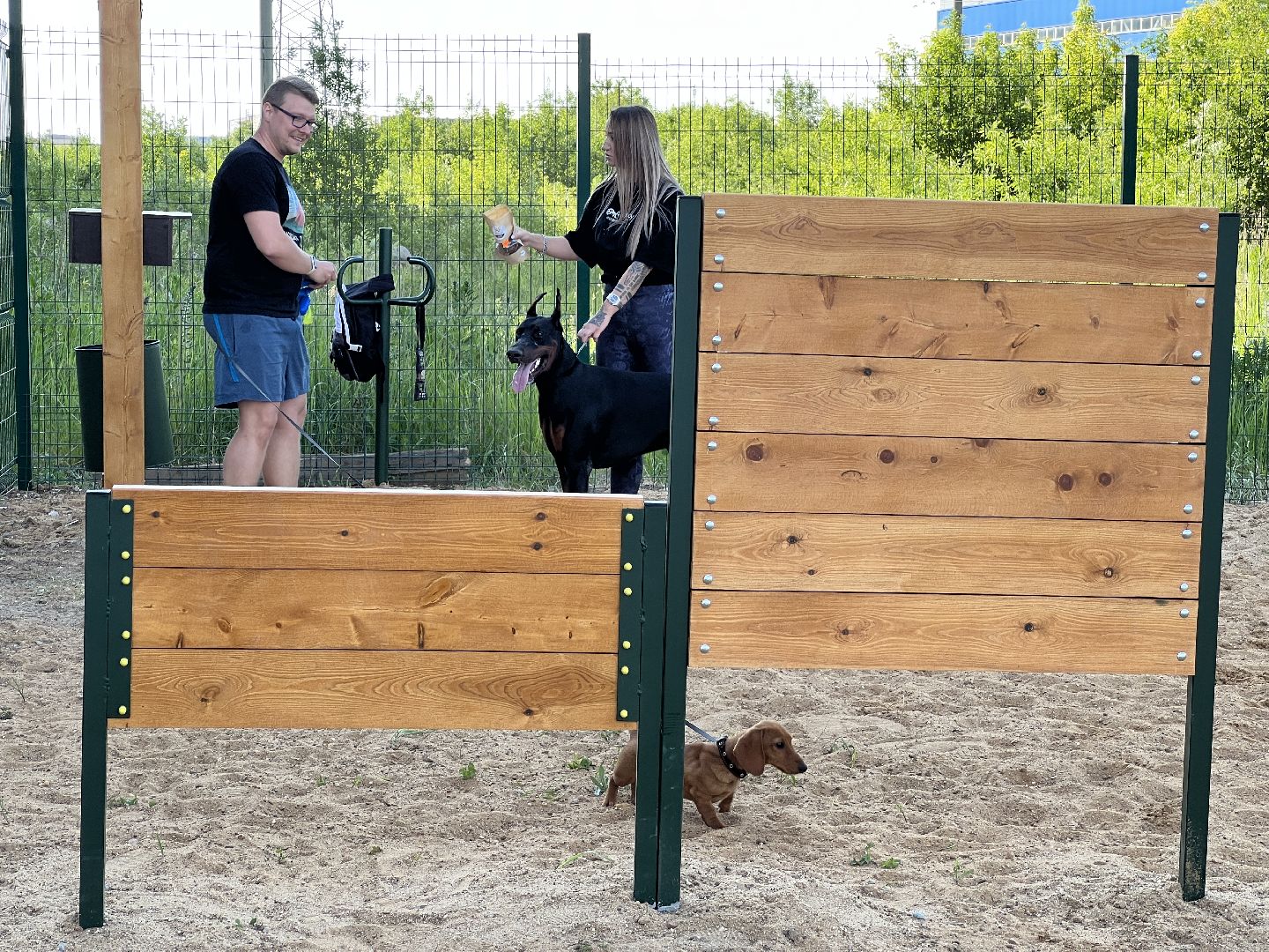 Химки, ЖК Солнечная система, благоустройство, собаки