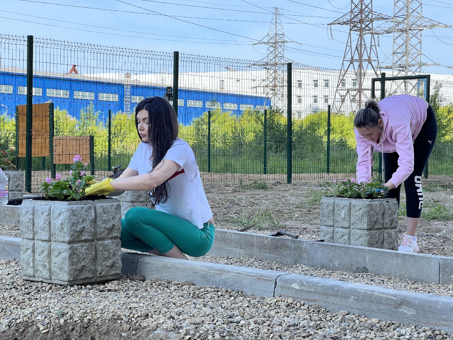 Химки, ЖК Солнечная система, благоустройство, собаки