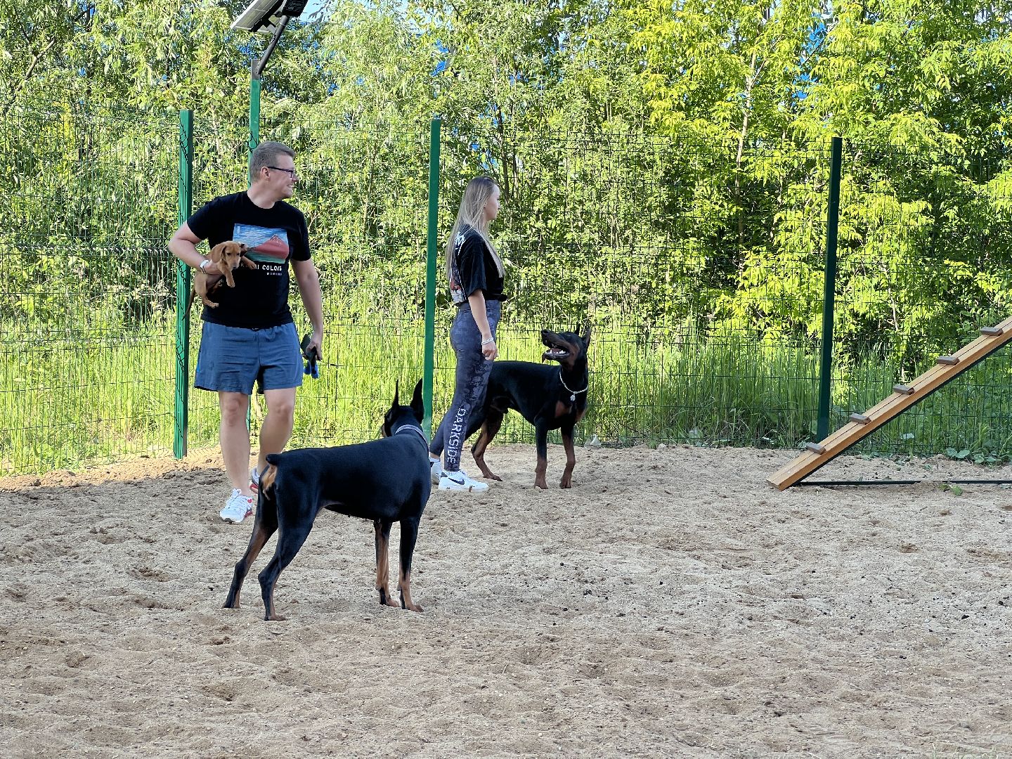 Химки, ЖК Солнечная система, благоустройство, собаки