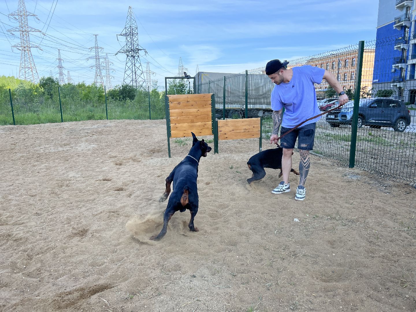 Химки, ЖК Солнечная система, благоустройство, собаки