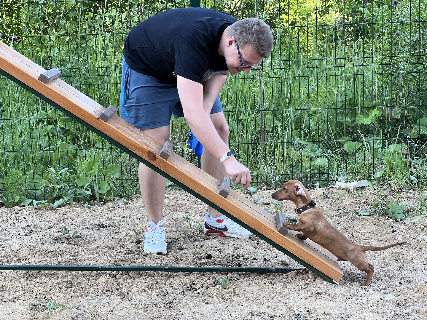 Химки, ЖК Солнечная система, благоустройство, собаки