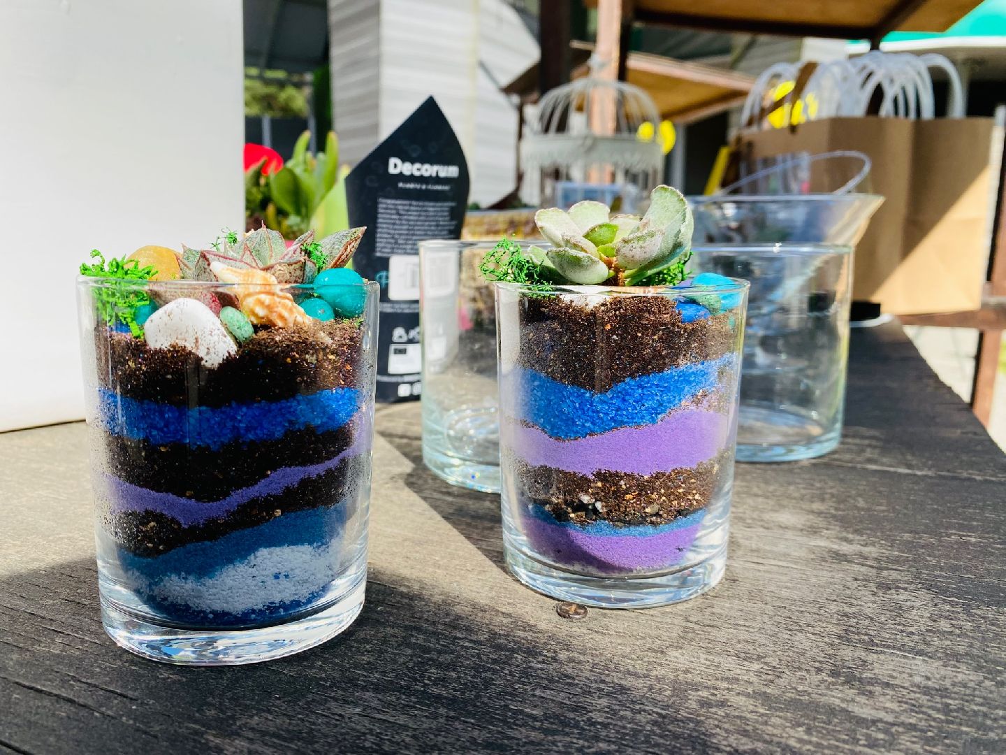 Домодедово, флористика, композиции из цветов, цветы, кактус