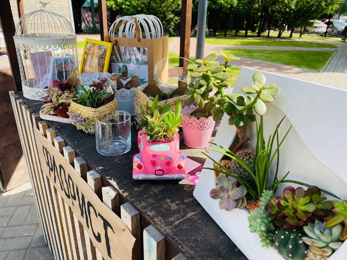 Домодедово, флористика, композиции из цветов, цветы, кактус