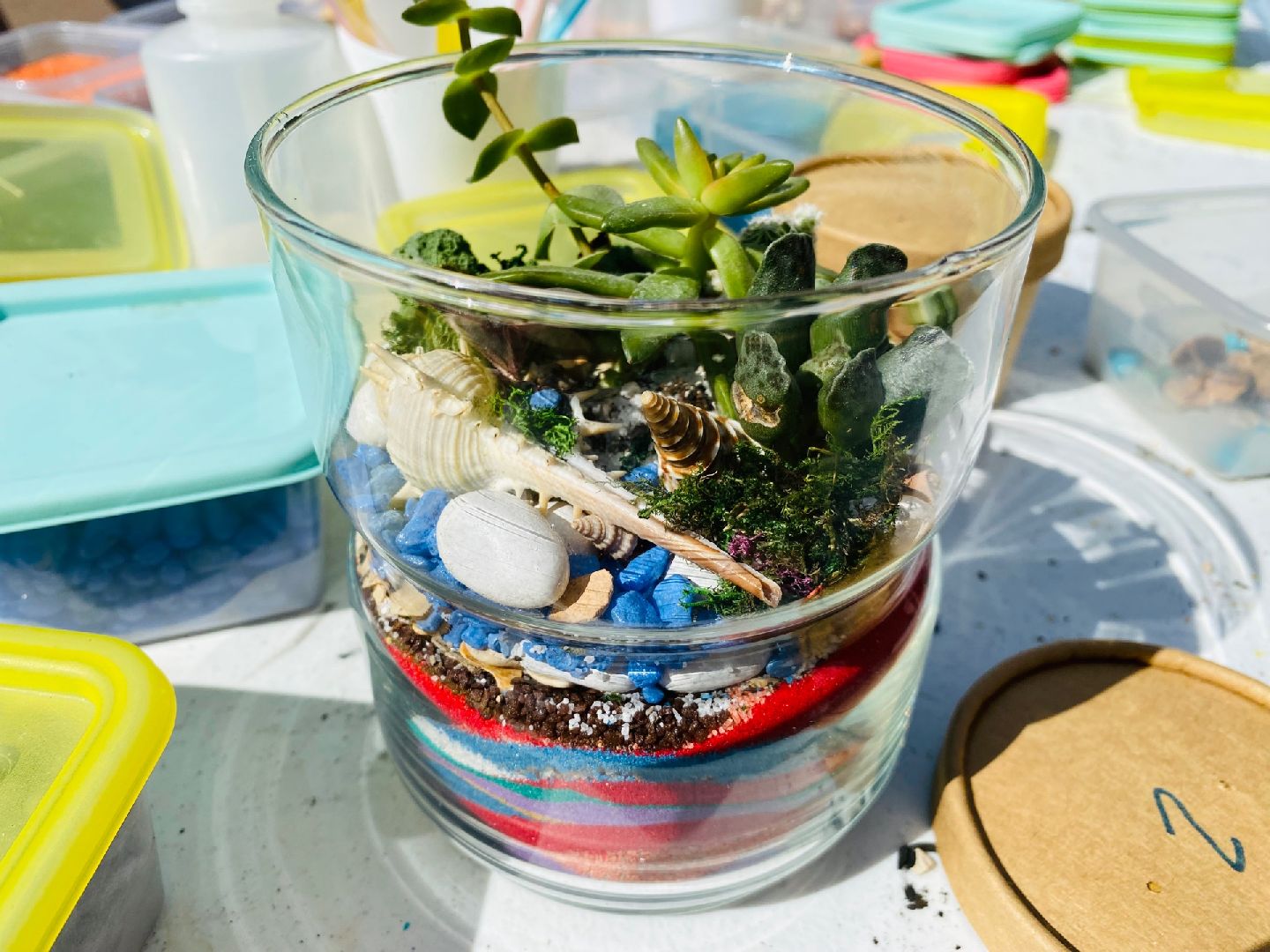 Домодедово, флористика, композиции из цветов, цветы, кактус