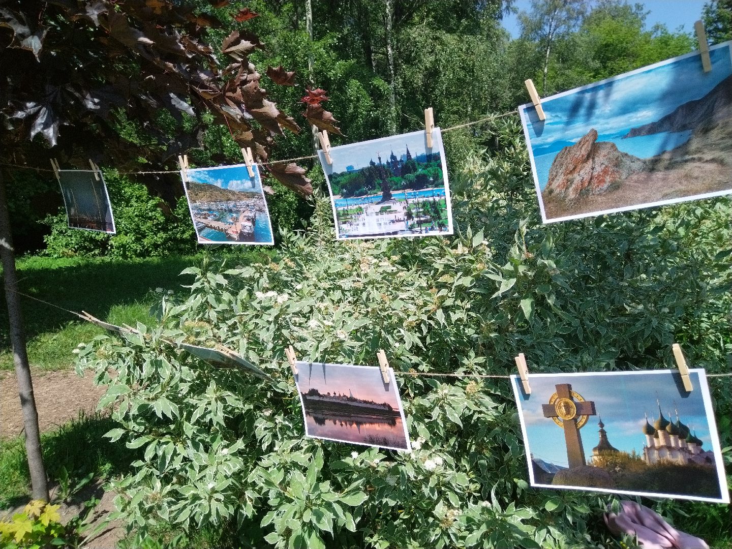 Фотосушка, Мытищи, Парк мира