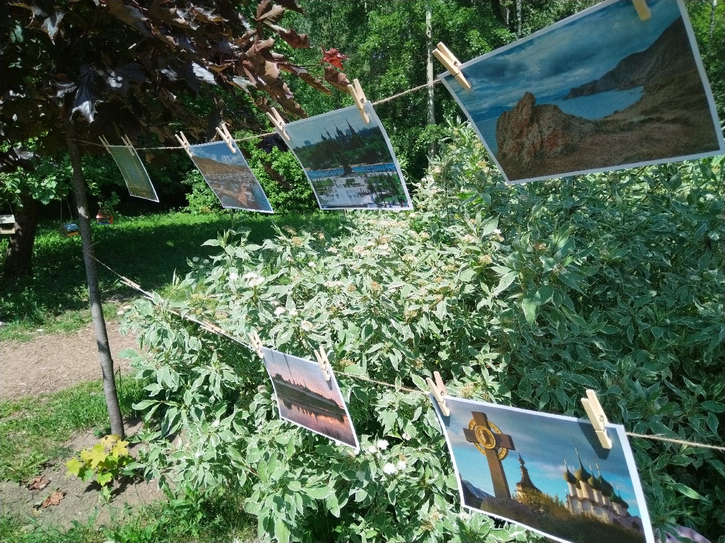 Фотосушка, Мытищи, Парк мира