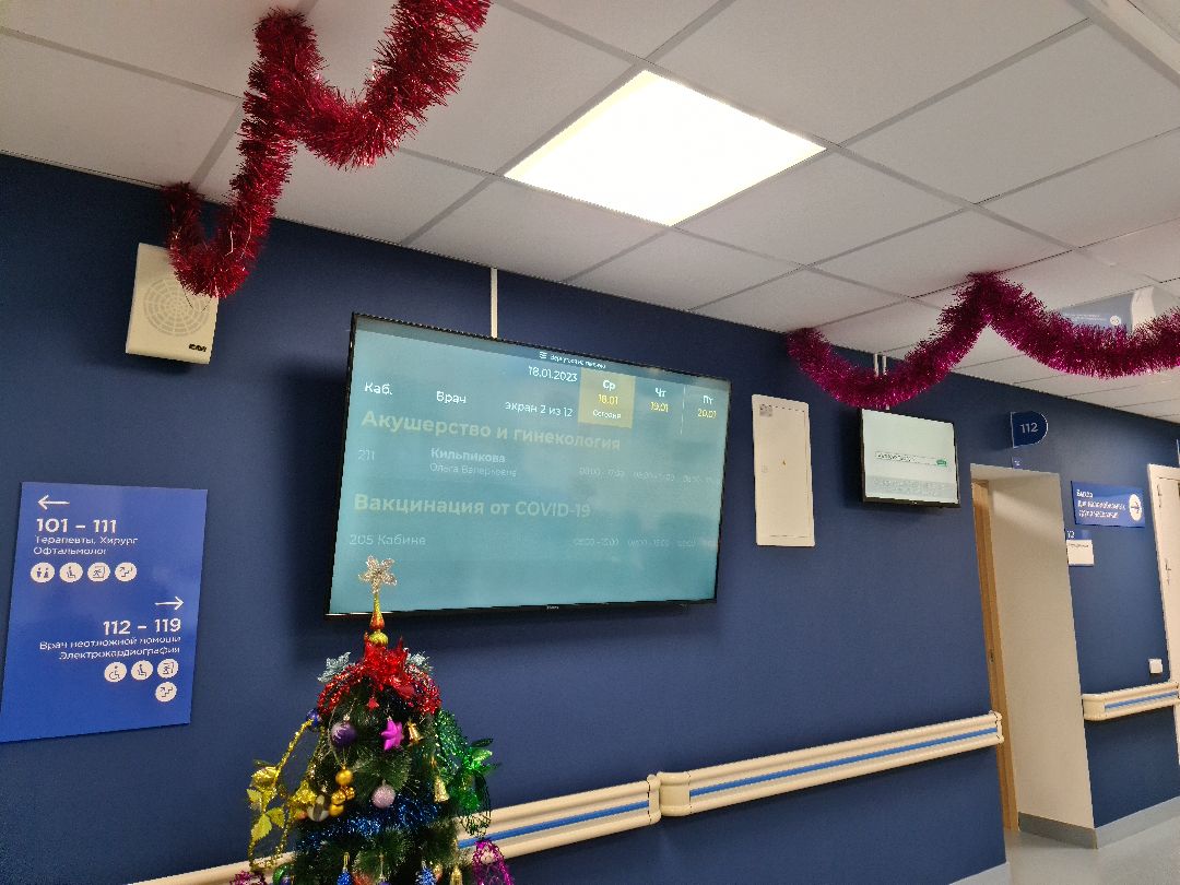 Щёлково, общество