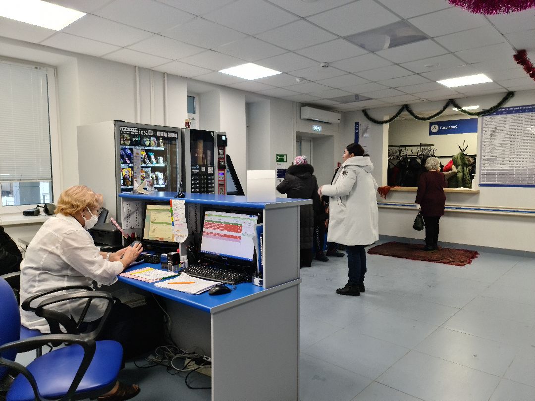 Щёлково, общество