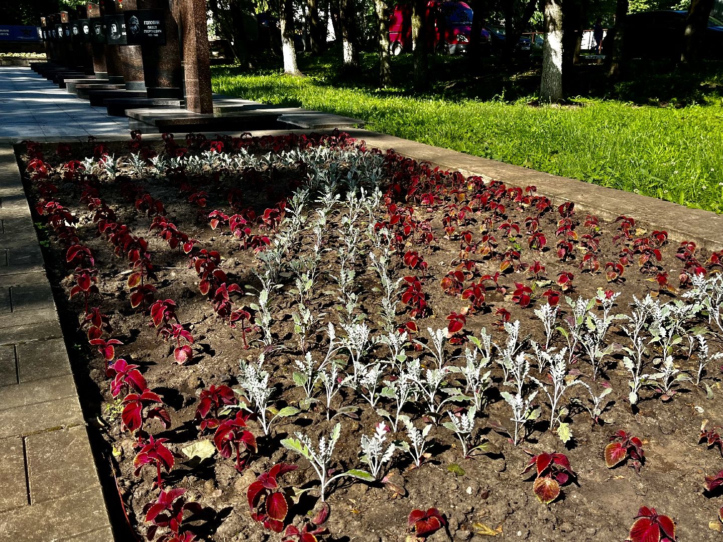 Наро-Фоминск, благоустройство, цветы, детский парк, лето в Подмосковье