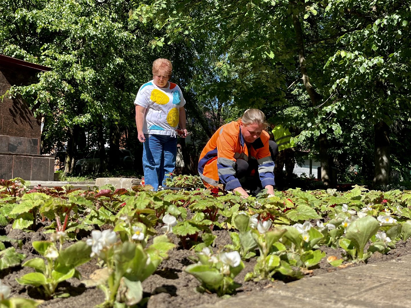 Наро-Фоминск, благоустройство, цветы, детский парк, лето в Подмосковье