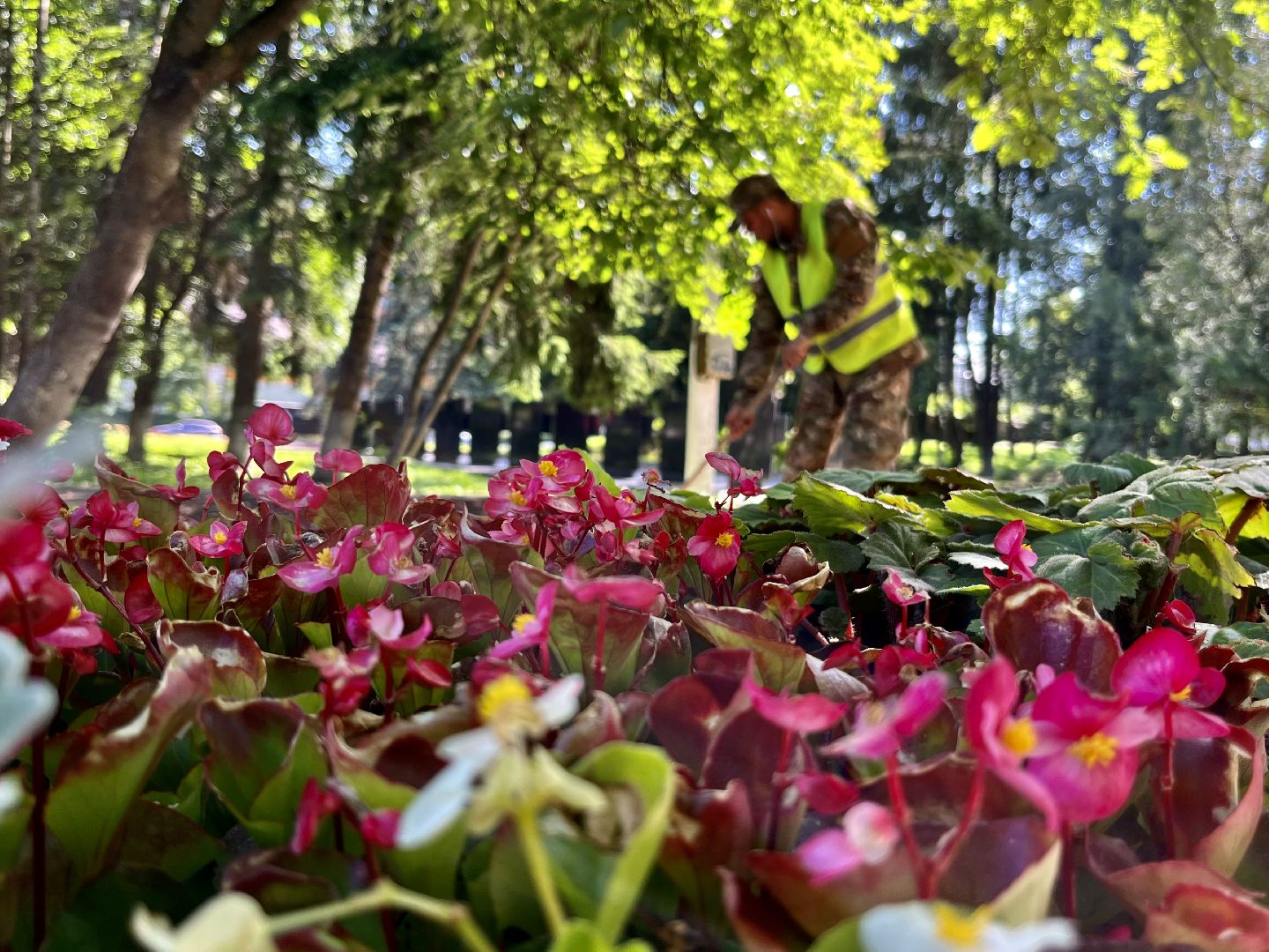 Наро-Фоминск, благоустройство, цветы, детский парк, лето в Подмосковье
