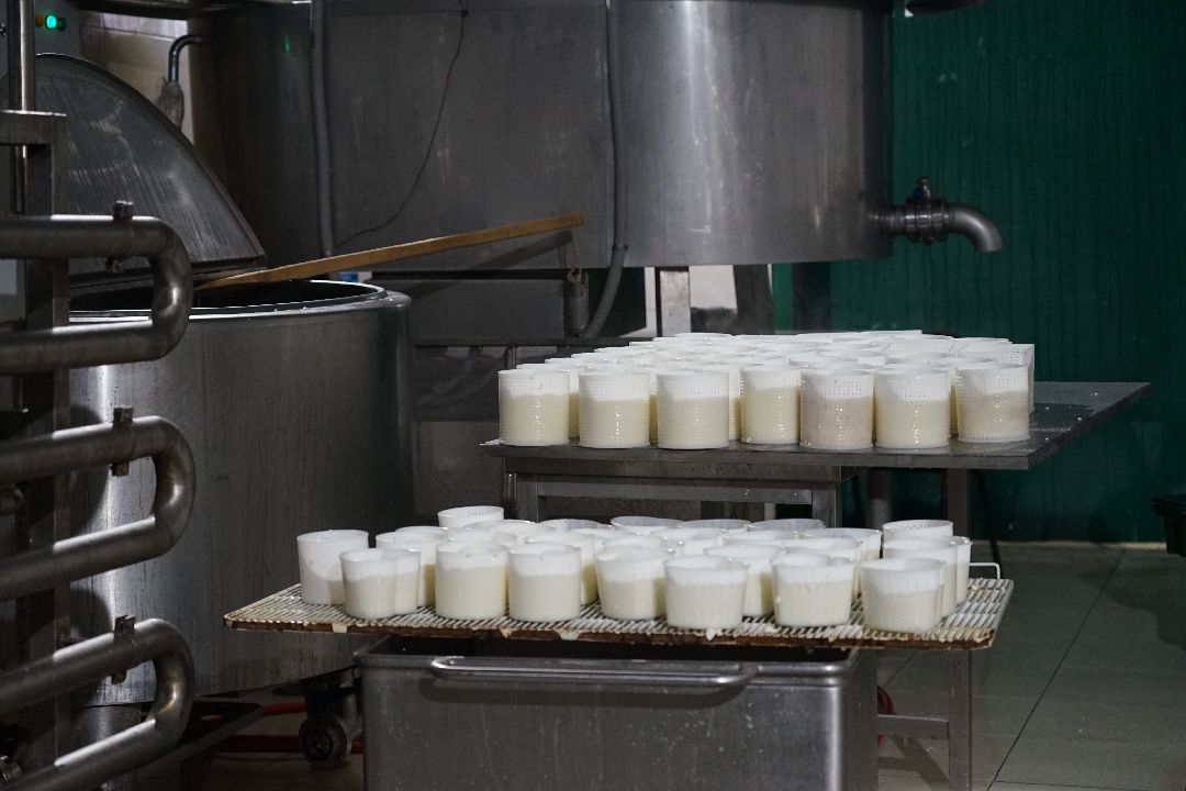 Щелково, бизнес