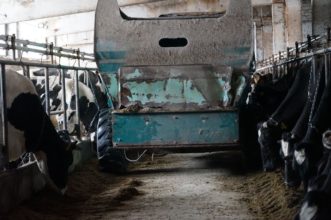 Щелково, бизнес