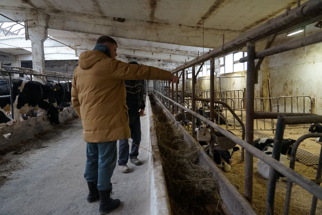 Щелково, бизнес