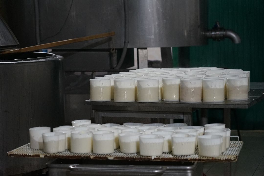 Щелково, бизнес