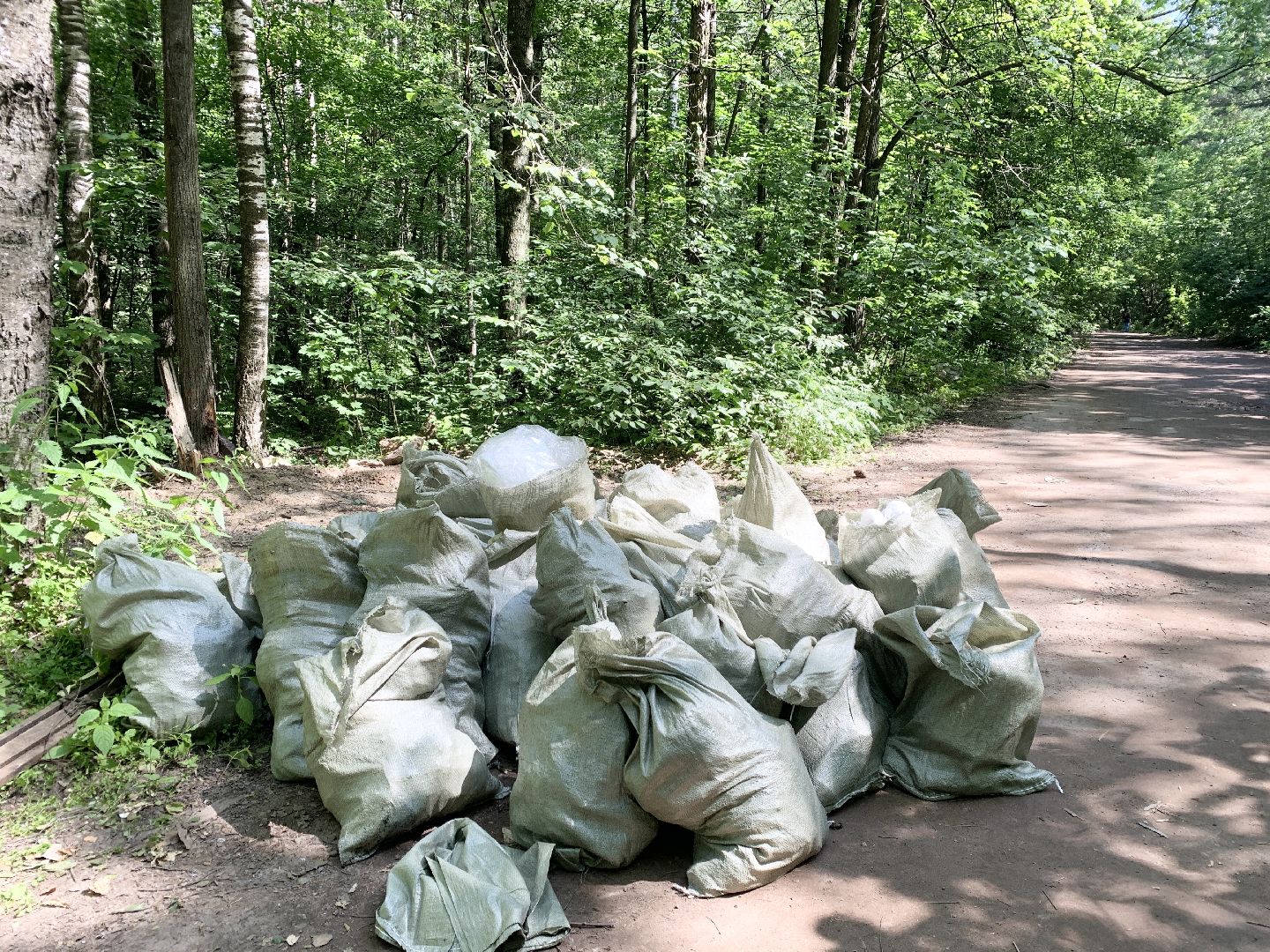 Балашиха, Подмосковье, экология, лагерь труда и отдыха, Горенский лесопарк