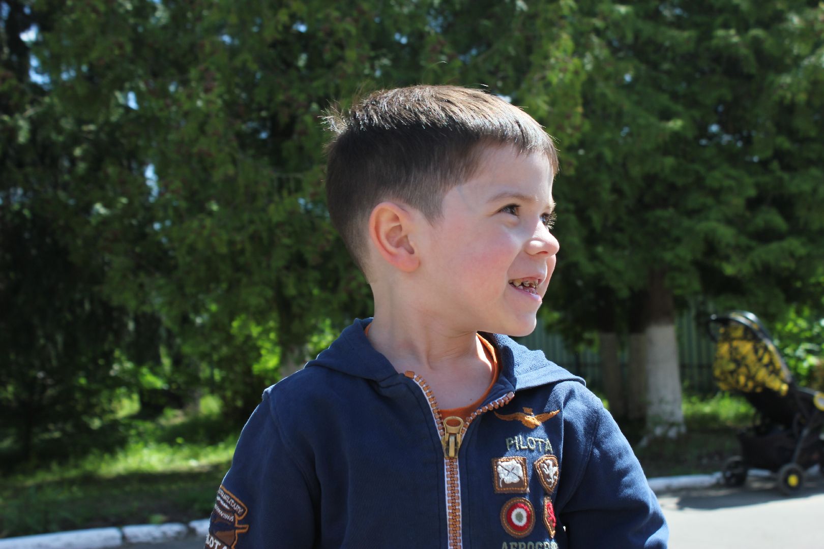 Ступино, Старая Ситня, День села