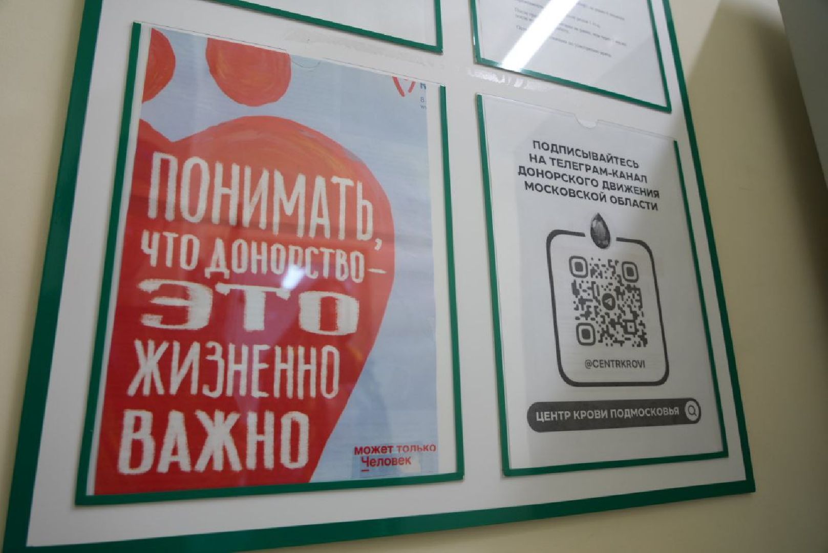 Сергиев Посад, Сергиево-Посадский городской округ, СВО, Донорство, Добрые дела, Доноры, Всемирный день донора