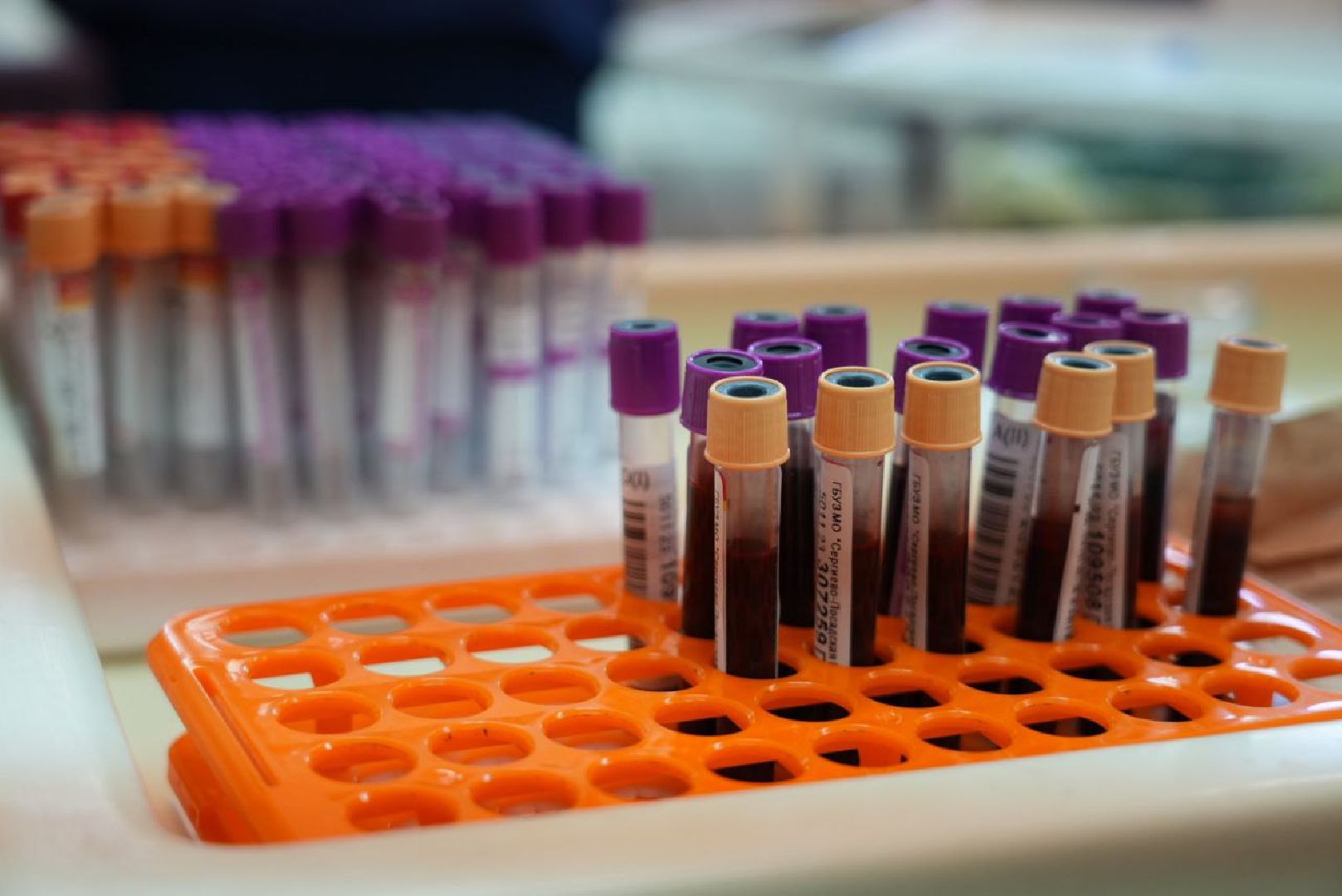 Сергиев Посад, Сергиево-Посадский городской округ, СВО, Донорство, Добрые дела, Доноры, Всемирный день донора