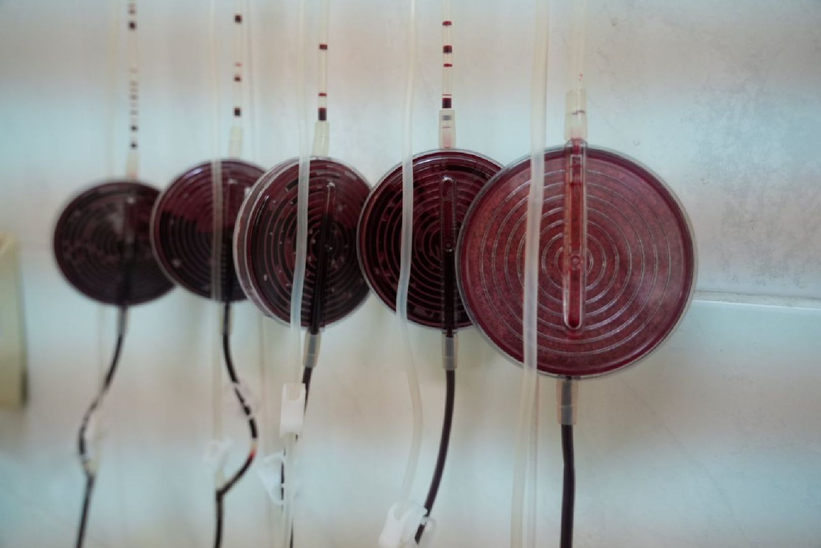 Сергиев Посад, Сергиево-Посадский городской округ, СВО, Донорство, Добрые дела, Доноры, Всемирный день донора