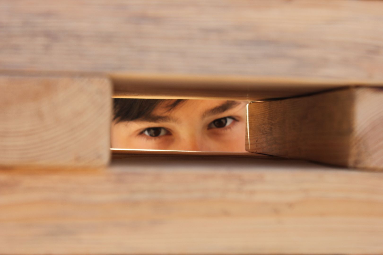 Ступино, Старая Ситня, день села