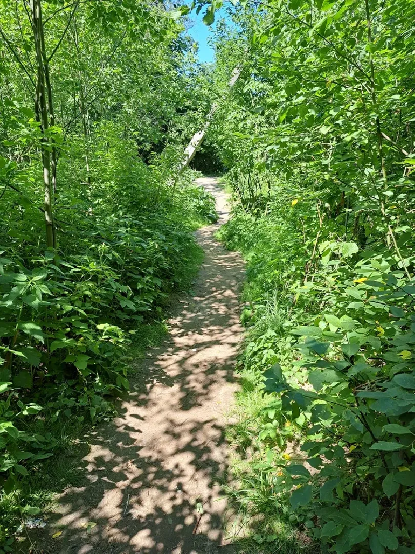 Руза, Тучково, благоустройство, народные тропы, пешеходные дорожки