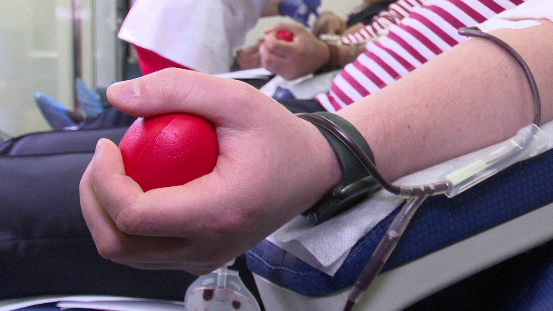 Реутов, День донора, кровь, плазма, сдача крови, Росгвардия